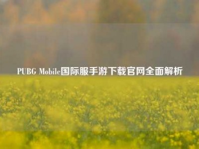 PUBG Mobile国际服手游下载官网全面解析