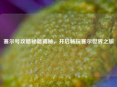 赛尔号攻略秘籍揭秘，开启畅玩赛尔世界之旅