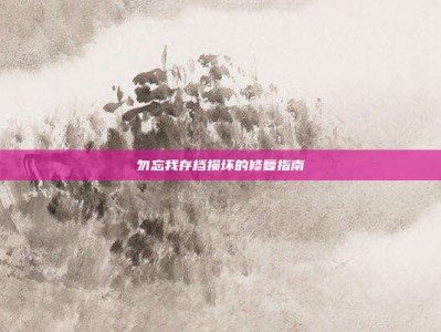 勿忘我存档损坏的修复指南
