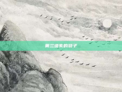 奥兰遗失的袋子