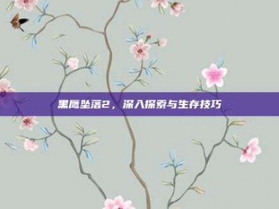 黑鹰坠落2，深入探索与生存技巧