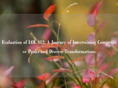 Evaluation of LOL S12: A Journey of Intertwining Competitive Peaks and Diverse Transformations