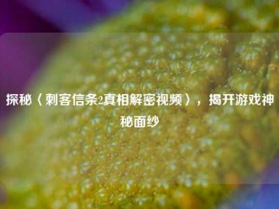 探秘〈刺客信条2真相解密视频〉，揭开游戏神秘面纱