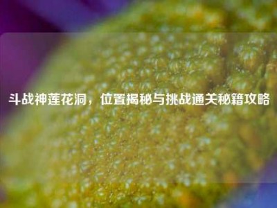 斗战神莲花洞，位置揭秘与挑战通关秘籍攻略