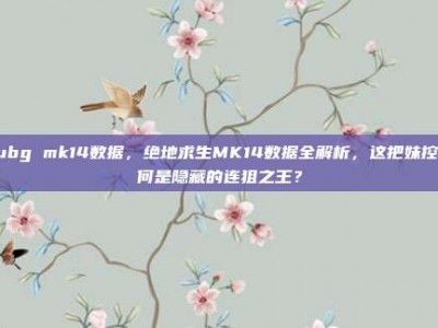 pubg mk14数据，绝地求生MK14数据全解析，这把妹控为何是隐藏的连狙之王？