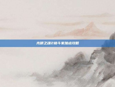 光明之魂2格斗家加点攻略