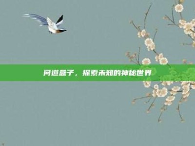 问道盒子，探索未知的神秘世界