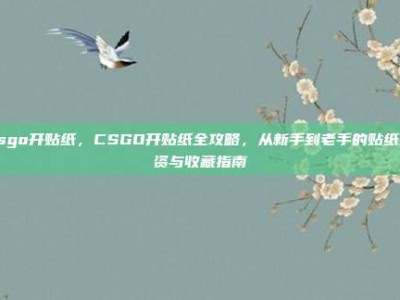 csgo开贴纸，CSGO开贴纸全攻略，从新手到老手的贴纸投资与收藏指南