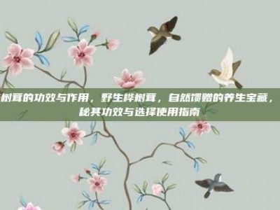 桦树茸的功效与作用，野生桦树茸，自然馈赠的养生宝藏，揭秘其功效与选择使用指南