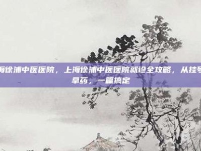 上海徐浦中医医院，上海徐浦中医医院就诊全攻略，从挂号到拿药，一篇搞定