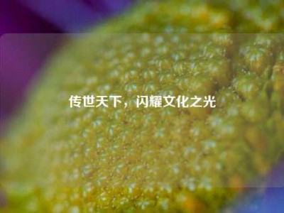 传世天下，闪耀文化之光