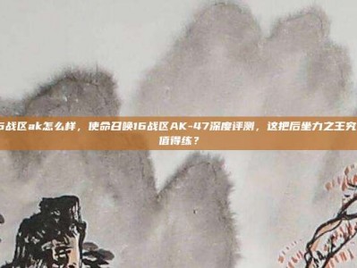 cod16战区ak怎么样，使命召唤16战区AK-47深度评测，这把后坐力之王究竟值不值得练？