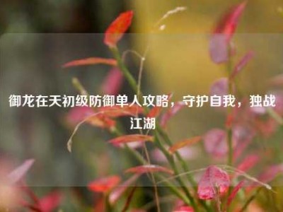 御龙在天初级防御单人攻略，守护自我，独战江湖