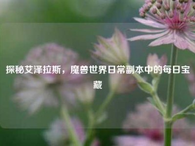 探秘艾泽拉斯，魔兽世界日常副本中的每日宝藏