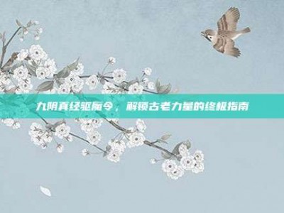 九阴真经驱魔令，解锁古老力量的终极指南