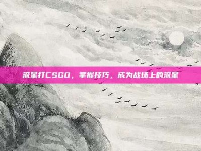 流星打CSGO，掌握技巧，成为战场上的流星