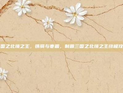 三国之北境之王，铁骑与寒霜，制霸三国之北境之王终极攻略