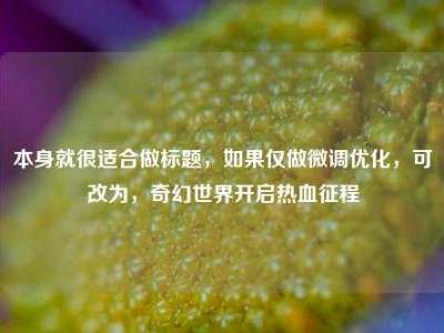 本身就很适合做标题，如果仅做微调优化，可改为，奇幻世界开启热血征程