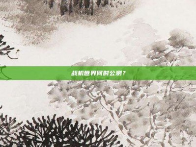 战机世界何时公测？