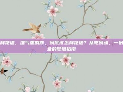 怎样祛湿，湿气重的你，到底该怎样祛湿？从吃到动，一份最全的除湿指南