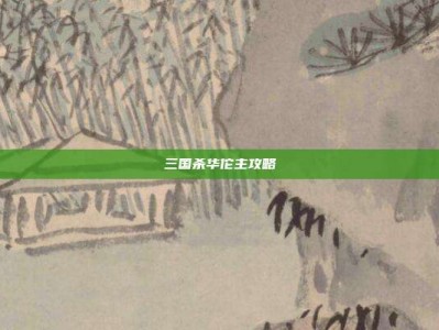三国杀华佗主攻略