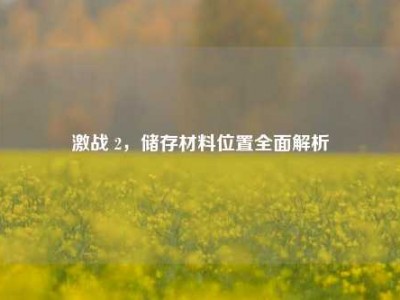 激战 2，储存材料位置全面解析