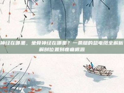 坐骨神经在哪里，坐骨神经在哪里？一条腿的总电缆全解析，从解剖位置到疼痛根源