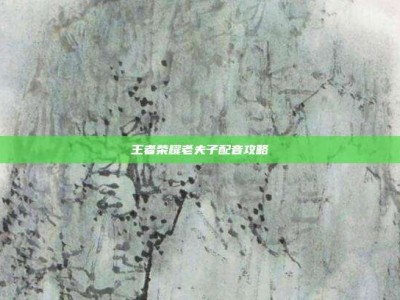 王者荣耀老夫子配音攻略