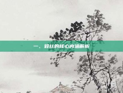 一、毅丝的核心内涵解析