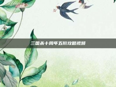 三国杀十周年五阶攻略视频