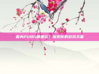 国内PUBG哪里玩？探索你的游戏天堂