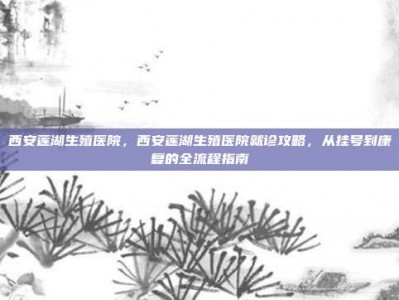 西安莲湖生殖医院，西安莲湖生殖医院就诊攻略，从挂号到康复的全流程指南
