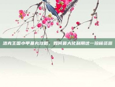 洛克王国小甲基丸攻略，如何最大化利用这一珍稀资源