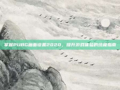 掌握PUBG画面设置2020，提升游戏体验的终极指南