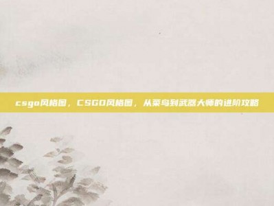 csgo风格图，CSGO风格图，从菜鸟到武器大师的进阶攻略