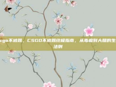csgo不被踢，CSGO不被踢终极指南，从毒瘤到大腿的生存法则