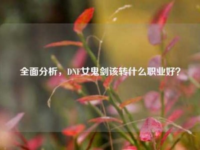 全面分析，DNF女鬼剑该转什么职业好？