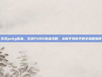 乐多pubg饰品，乐多PUBG饰品攻略，从新手到高手的全流程指南