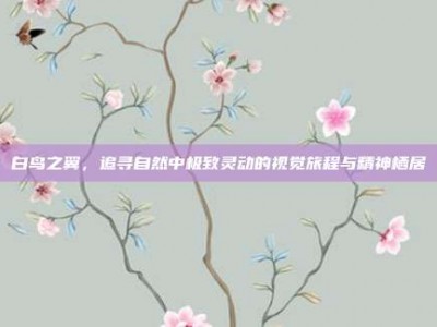 白鸟之翼，追寻自然中极致灵动的视觉旅程与精神栖居