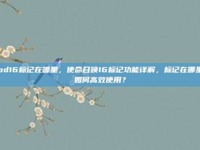 cod16标记在哪里，使命召唤16标记功能详解，标记在哪里？如何高效使用？
