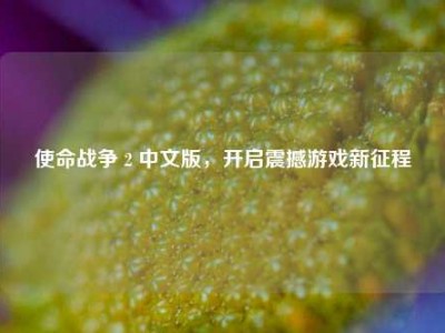 使命战争 2 中文版，开启震撼游戏新征程
