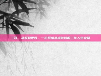 二孩，从好到更好，一份写给焦虑爸妈的二孩人生攻略