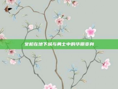 女枪在地下城与勇士中的华丽变身