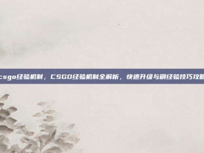 csgo经验机制，CSGO经验机制全解析，快速升级与刷经验技巧攻略