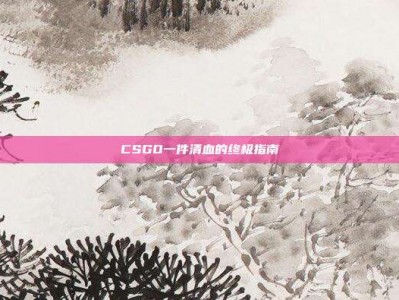 CSGO一件清血的终极指南
