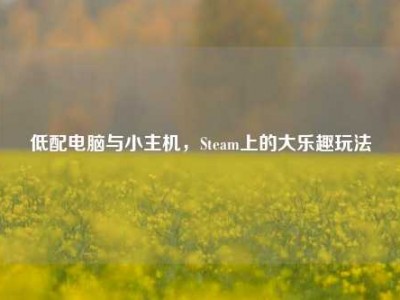 低配电脑与小主机，Steam上的大乐趣玩法