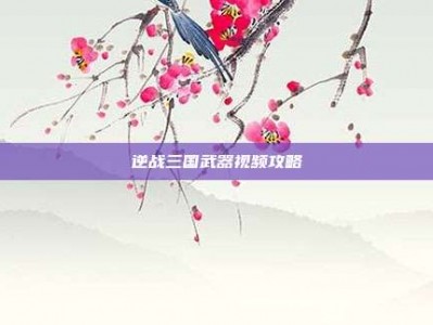 逆战三国武器视频攻略