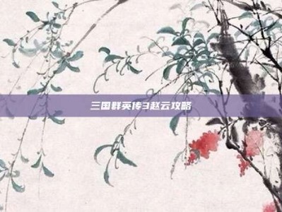 三国群英传3赵云攻略