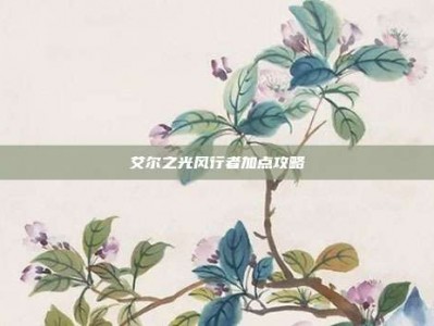 艾尔之光风行者加点攻略