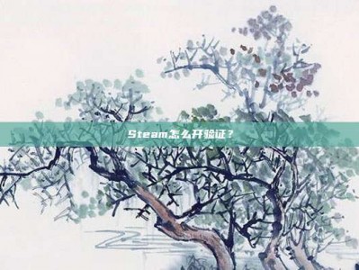Steam怎么开验证？